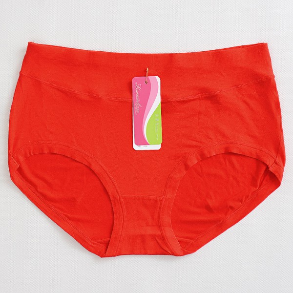 Women Cozy Underpants Bamboo Fiber Antibacterial Briefs Underwear Plus Size